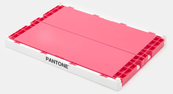 Sinsay - Skládací úložná krabice Pantone - fuchsiová
