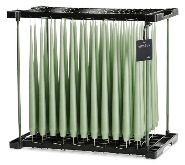 Ester & Erik Set svíček Taper - Eucalyptus Výška: 42 cm