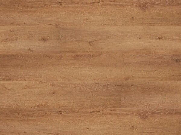 FLOOR FOREVER Grandissimo plus click rigid Dub axinit 3026 - 2.08 balení