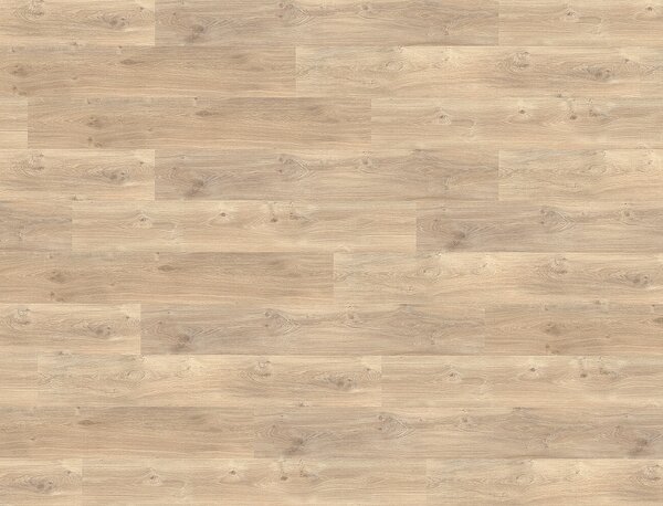 FLOOR FOREVER XL Dub jasmínový 79994 - 4.18 m2