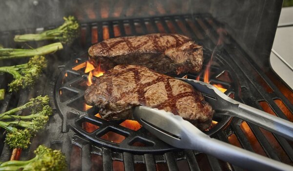 Weber Plynový gril Genesis EPX-335W
