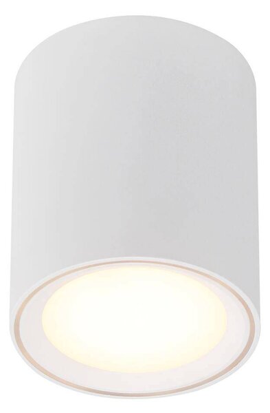 Stmívatelné LED světlo NORDLUX Fallon Varianta: Ø 100 x 60 mm, 8,5 W, 2700K, černá/kartáčovaná ocel
