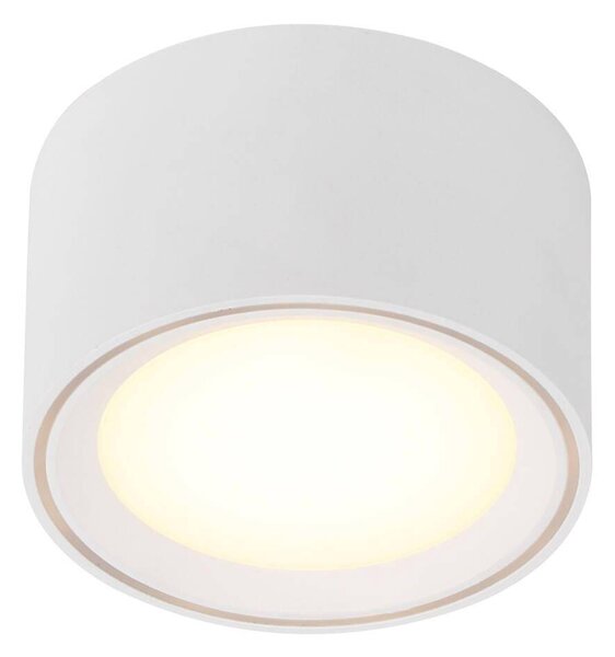Stmívatelné LED světlo NORDLUX Fallon Varianta: Ø 100 x 60 mm, 8,5 W, 2700K, černá/kartáčovaná ocel