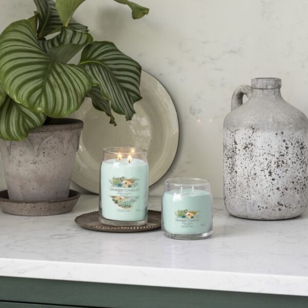 Velká vonná svíčka Yankee Candle Aloe & Agave Singature