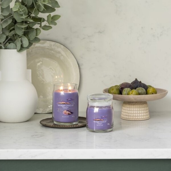 Velká vonná svíčka Yankee Candle Stargazing Singature
