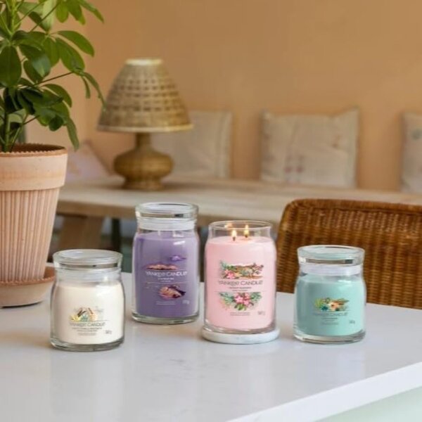 Střední vonná svíčka Yankee Candle Aloe & Agave Singature
