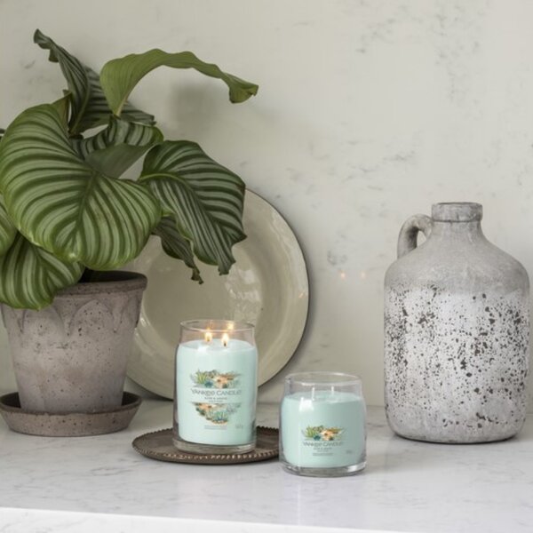 Střední vonná svíčka Yankee Candle Aloe & Agave Singature