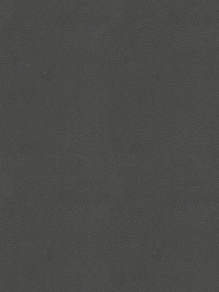 ŽIDLE S PODRUČKAMI, železo, antracitová, černá Novel - Jídelní židle