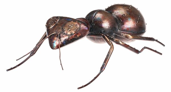 Kovová zahradní dekorace Mravenec, 33 x 23 x 10 cm