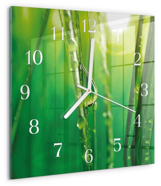 Skleněné hodiny Kapky trávy zskb-30x30-00081771
