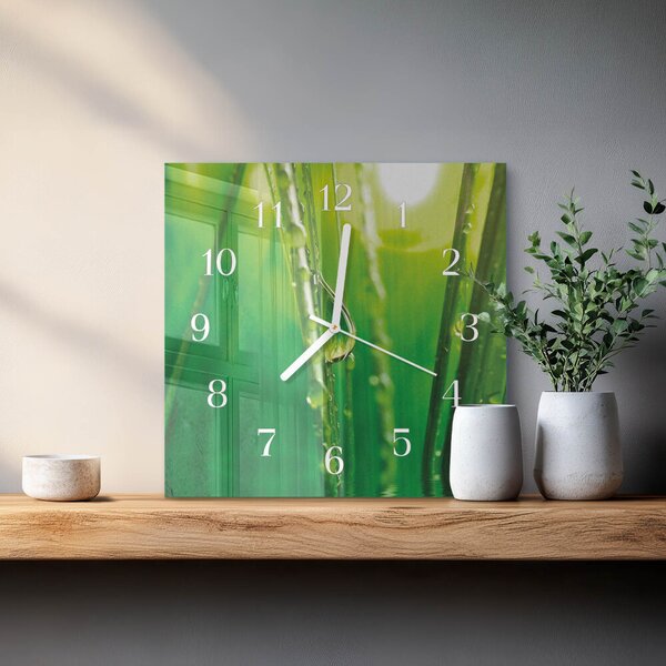Skleněné hodiny Kapky trávy zskb-30x30-00081771