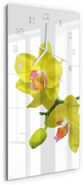 Skleněné hodiny vertikální Orchidej zsppb-30x60-00090272