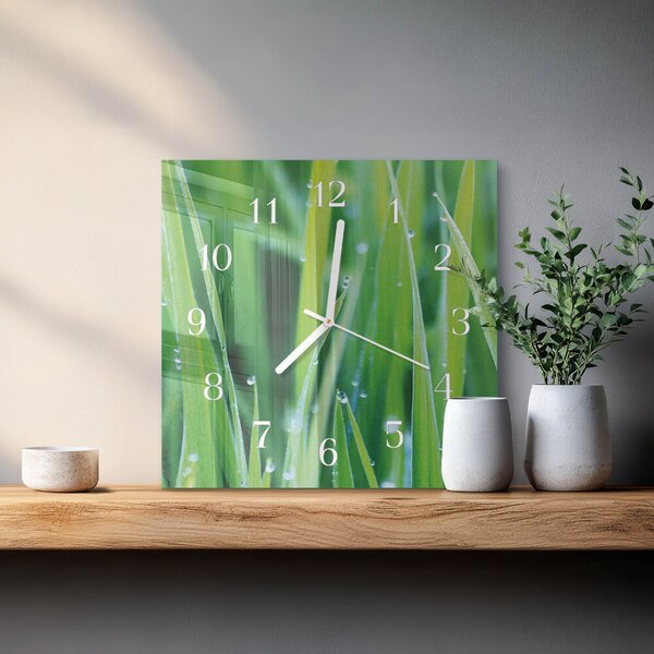 Skleněné hodiny Tráva zskb-30x30-00086232