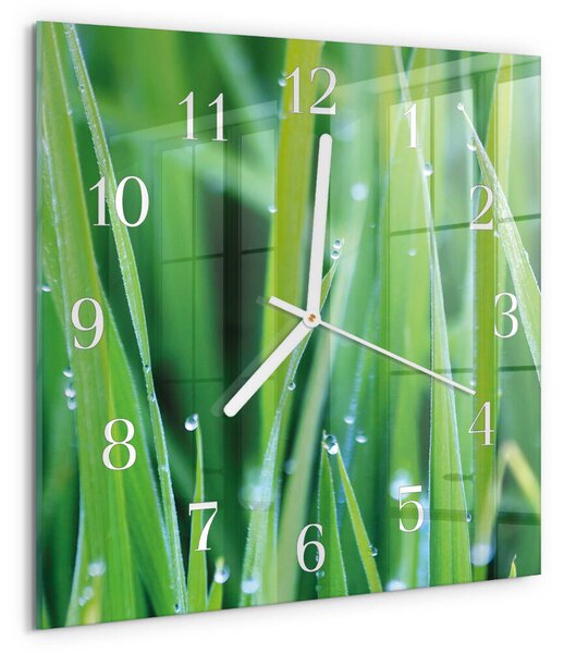 Skleněné hodiny Tráva zskb-30x30-00086232