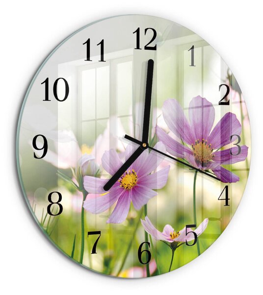 Skleněné nástěnné hodiny Louka zsoc-fi30-00058169