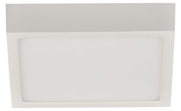 ACB Iluminacion Stropní LED svítidlo ROKU, š. 14 cm, 12W, CRI90 Barva: Černá, Teplota světla: 3000K - teplá bílá