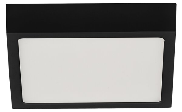 ACB Iluminacion Stropní LED svítidlo ROKU, š. 14 cm, 12W, CRI90 Barva: Černá, Teplota světla: 3000K - teplá bílá