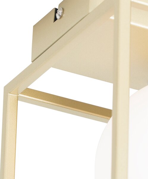 Designové stropní svítidlo zlaté s bílým sklem 2-světlo - Aniek