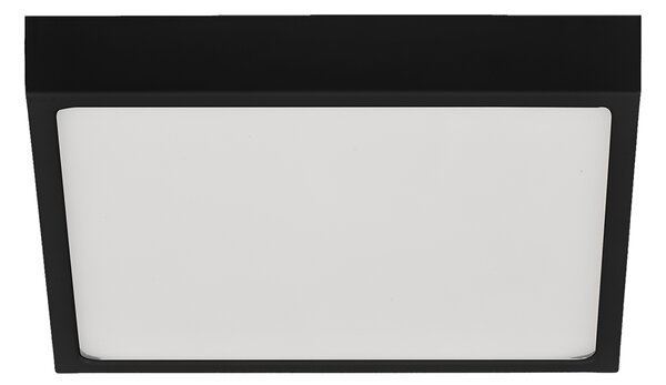 ACB Iluminacion Stropní LED svítidlo ROKU, š. 19 cm, 18W, CRI90 Barva: Černá, Teplota světla: 3000K - teplá bílá