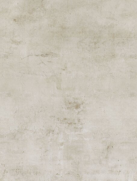 Vliesová obrazová tapeta na zeď, béžová, beton, FW4050-1, Feature Walls, Decoprint