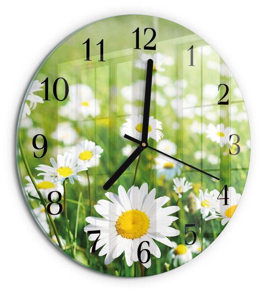 Skleněné nástěnné hodiny Sedmikrásky zsoc-fi30-00173612