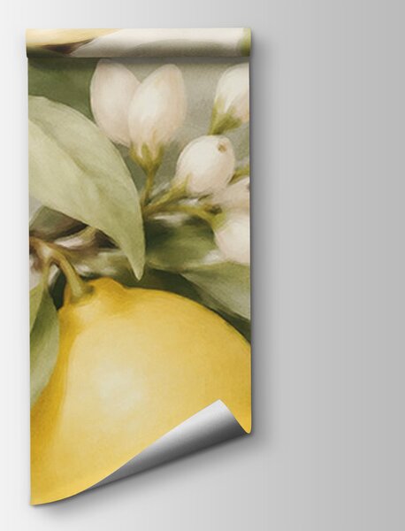 Fototapeta Citrony na větvi stromu, Fototapety s jídlem a pitím, Populární fototapety - Tapeko.co.cz