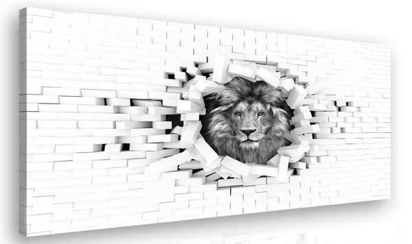Malvis Černobílý obraz - lev Velikost: 60x40 cm
