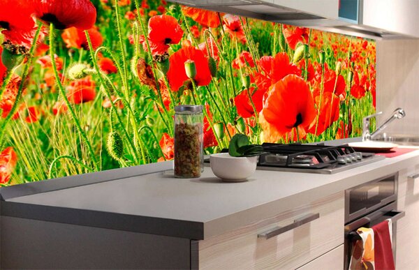 DIMEX | Fototapeta do kuchyně Červené vlčí máky KI-180-028 | 180 x 60 cm | zelená, červená