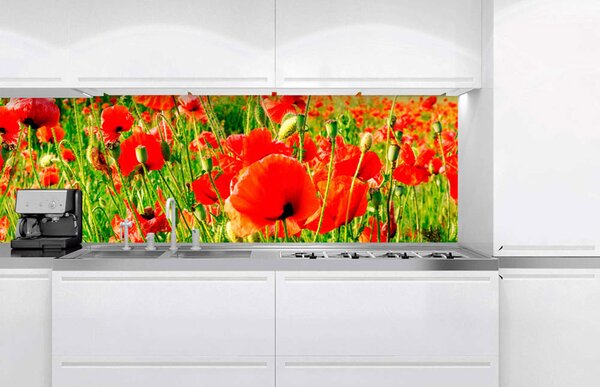 DIMEX | Fototapeta do kuchyně Červené vlčí máky KI-180-028 | 180 x 60 cm | zelená, červená