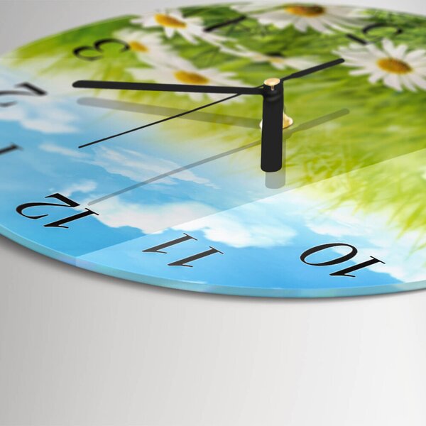 Skleněné nástěnné hodiny Louka zsoc-fi30-00179092