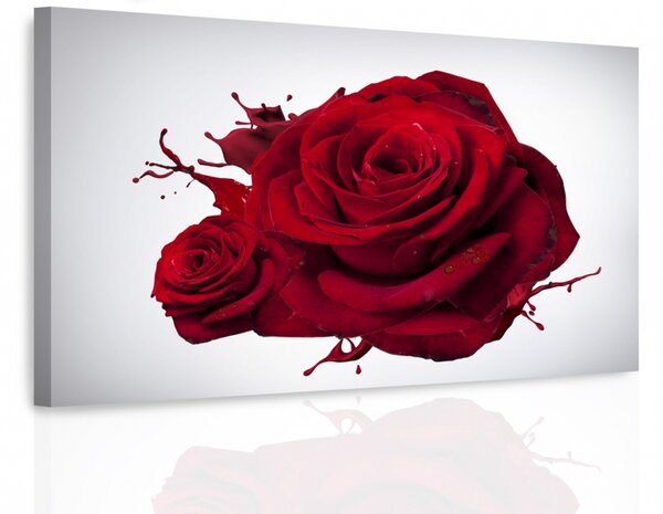 Obraz rudá růže Velikost (šířka x výška): 60x40 cm