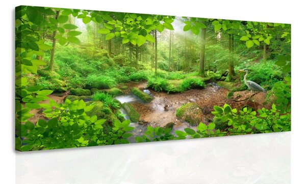 Obraz volavka v lese Velikost (šířka x výška): 80x40 cm