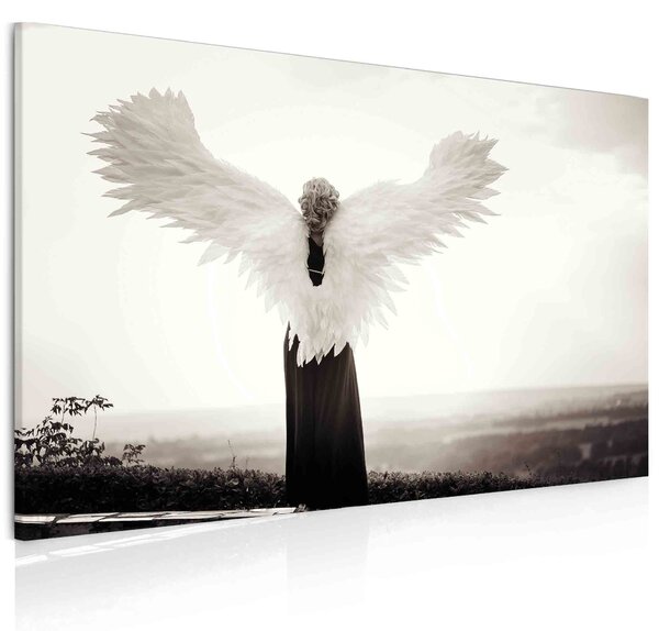 Malvis Obraz anděl Velikost: 60x40 cm