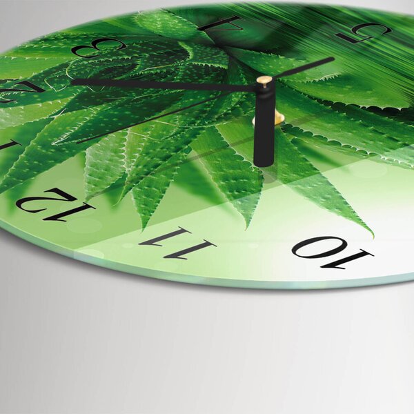 Skleněné nástěnné hodiny Aloe zsoc-fi30-00175455