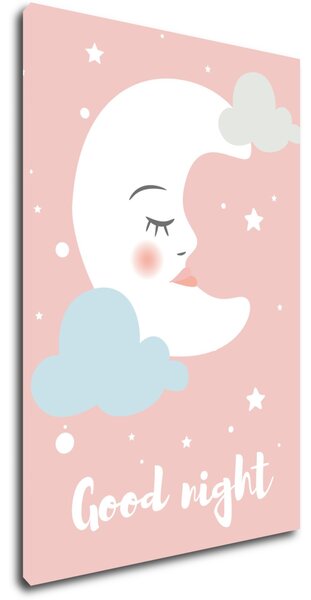 Impresi Obraz Good night pink moon - 20 x 30 cm