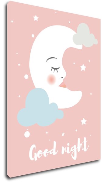 Impresi Obraz Good night pink moon - 30 x 40 cm