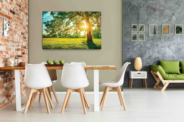 Malvis Strom v ranním slunci Velikost: 120x80 cm