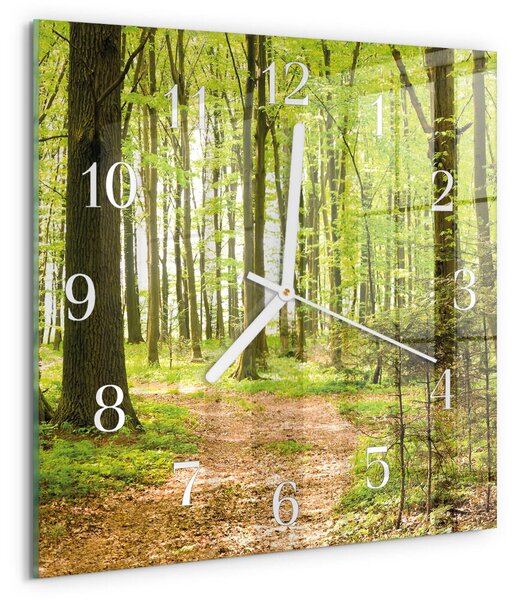Skleněné hodiny Les zskb-30x30-00081024