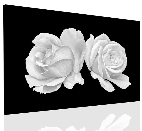 Malvis Obraz tajemná bílá růže Velikost: 60x40 cm