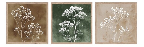 Obrazy v sadě 3 ks 30x30 cm Floral Imprint – Styler