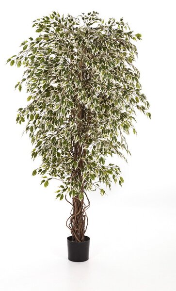 Umělý strom Fíkus liánový panašovaný DELUXE, 90cm