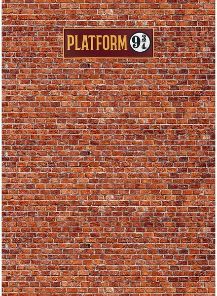 Dětská fototapeta Harry Potter Platform 9 3/4 182 x 252 cm, 4 díly