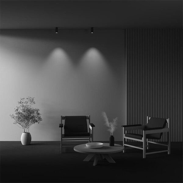 Maytoni Moderní stropní LED svítidlo FOCUS, 12W, v. 12,5 cm Barva: Černá, Teplota světla: 4000K - denní bílá, Stmívání, řízení: ON/OFF (bez stmívání)