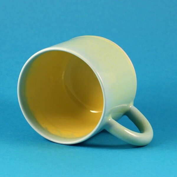 Porcelánový hrnek s ouškem Yellow Snapper 300 ml