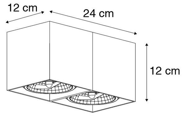 Designové bodové světlo černé obdélníkové 2-světlo - Box