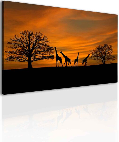 Malvis Obraz západ slunce na safari Velikost: 150x100 cm