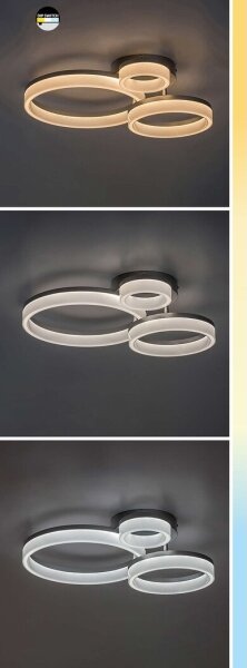 Rabalux 71385 - LED Stropní svítidlo AMILIA LED/24W/230V 3000/4000/6500K černá