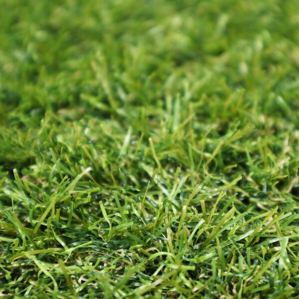 Europe Grass Metrážní umělá tráva Profi Garden - Rozměr na míru cm
