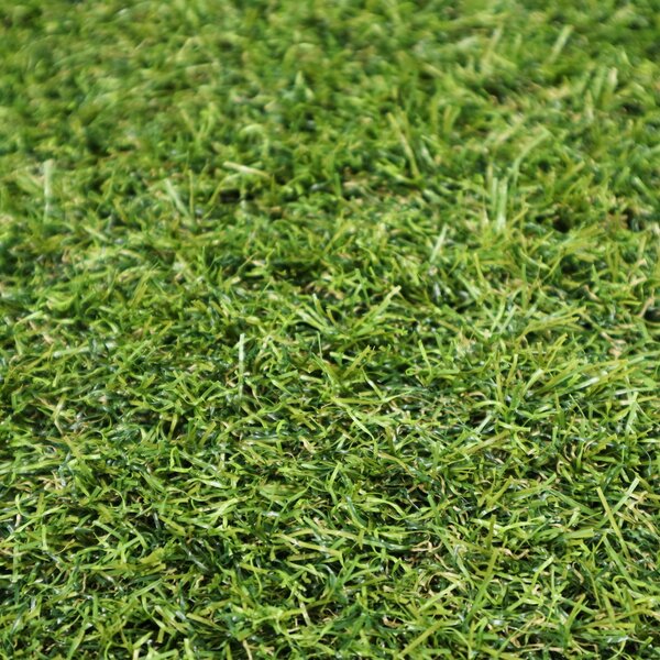Europe Grass Metrážní umělá tráva Profi Garden - Rozměr na míru cm