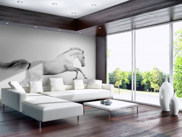 Tapeta bílý kůň + lepidlo ZDARMA Velikost (šířka x výška): 150x116 cm